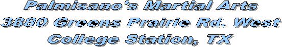 Palmisano's Martial Arts
3880 Greens Prairie Rd. West
College Station, TX