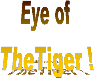 Eye of
TheTiger !